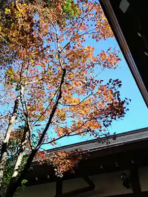 阿佐ヶ谷神明宮(東京都)