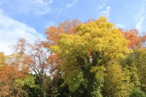 見渡神社の景色