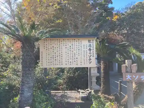 能満寺(静岡県)