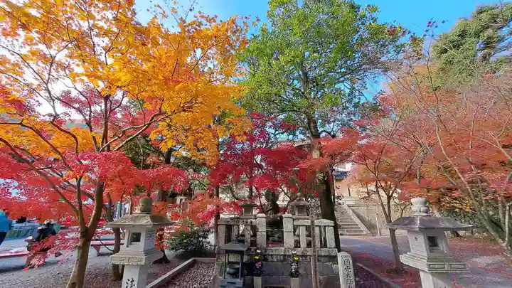 光明寺(粟生光明寺)(京都府)