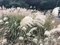 木舟山 順教寺の自然