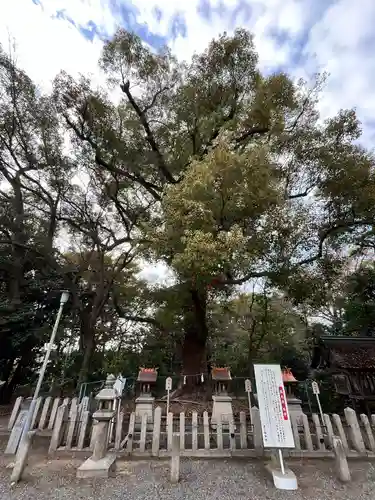 泉穴師神社(大阪府)