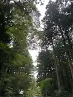 彌彦神社(新潟県)