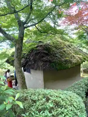 華厳寺(鈴虫寺)(京都府)
