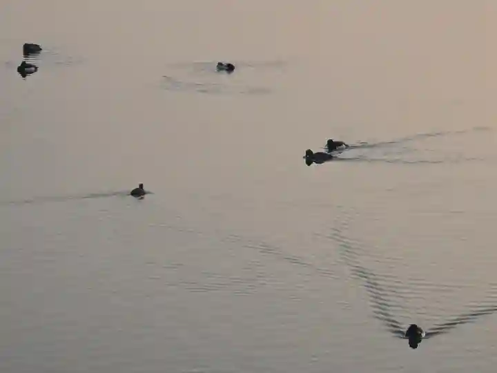 大龍寺(奈良県)