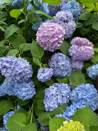 矢先稲荷神社(東京都)