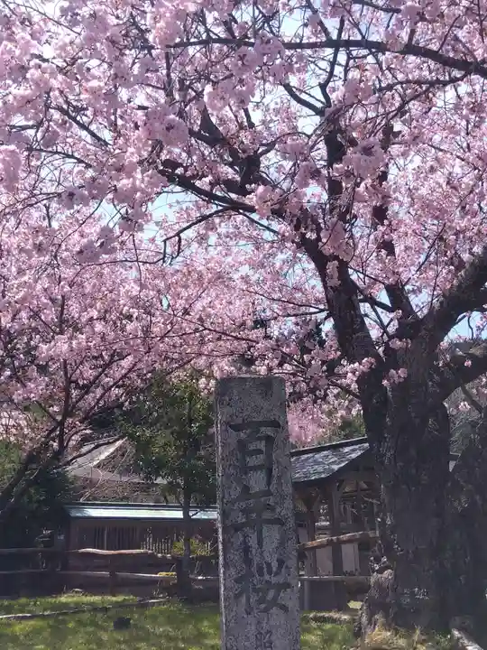 春日神社(京都府)