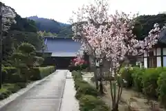 勝定寺の建物その他