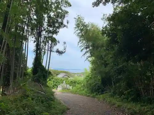 安房大杉神社の景色