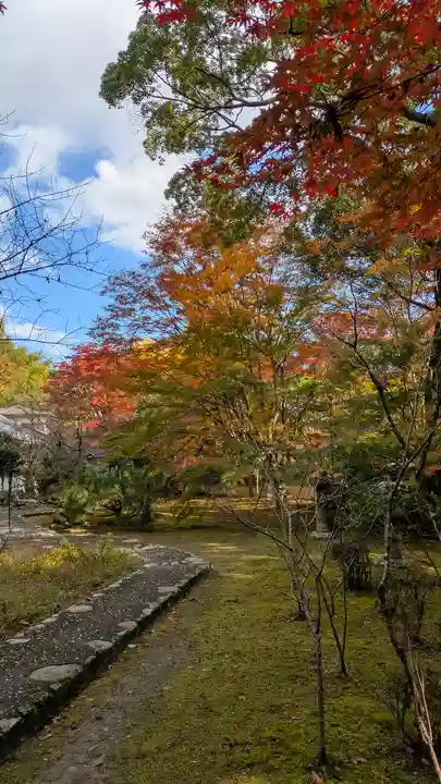 十輪寺(京都府)