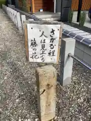 先聖寺の景色