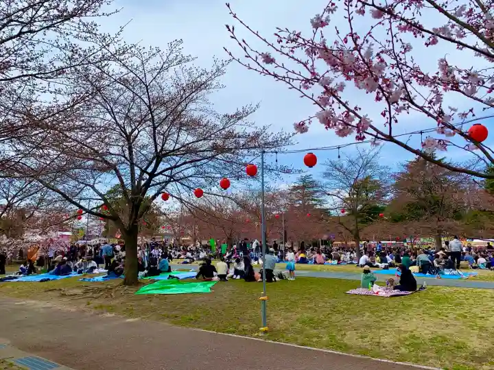 櫻岡大神宮のお祭り