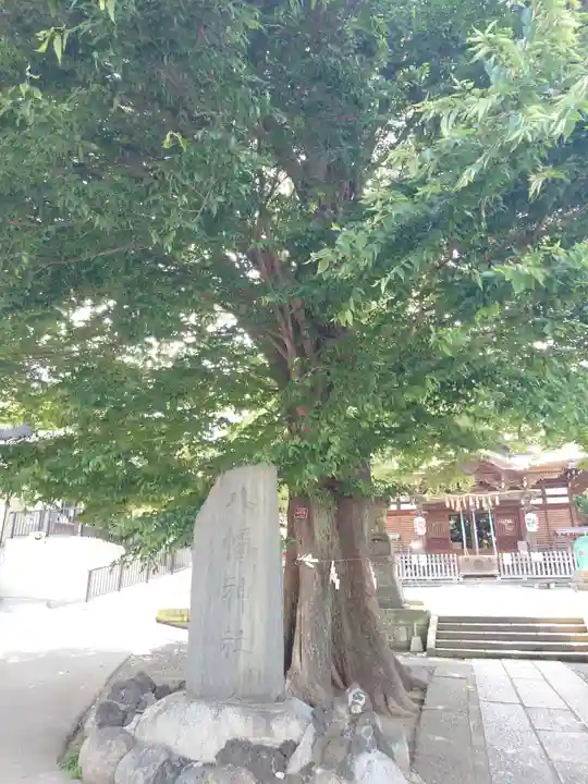 滝野川八幡神社(東京都)