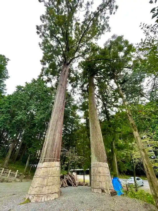 貝野神社(東貝野)の自然