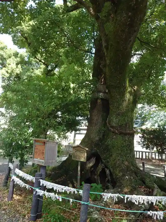 細江神社(静岡県)