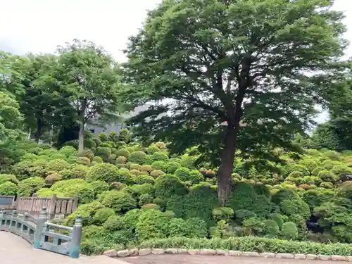 根津神社の庭園