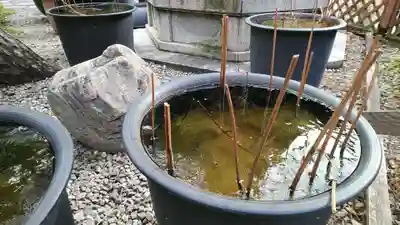 行願寺（革堂）(京都府)