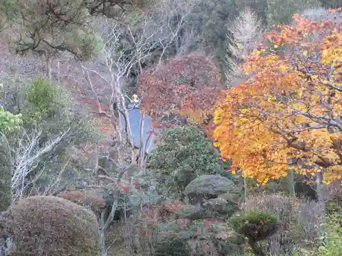 法雲寺の景色