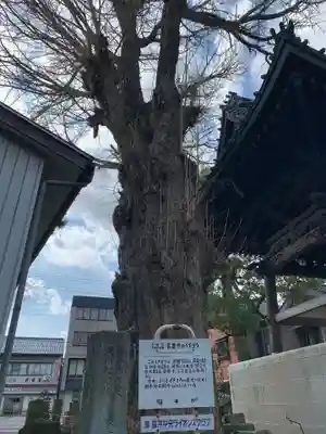 長慶寺のその他建物