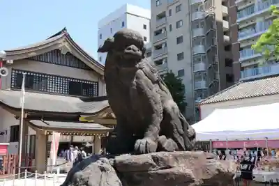 浅草神社の狛犬