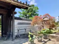 林泉寺の建物その他