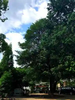 手力雄神社のその他建物