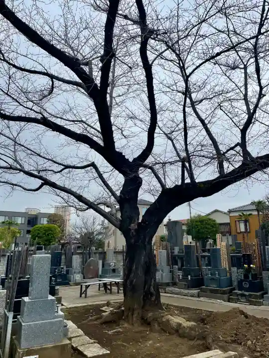 頤神襌院の{uncategorized: "未分類", other: "その他", undefined: "問題あり", building: "その他建物", grave: "お墓", sacred_gate: "鳥居", guardian: "狛犬", statue: "像", buddha: "仏像", history: "歴史", nature: "自然", garden: "庭園", animal: "動物", pagoda: "塔", temizu: "手水舎", mountain_gate: "山門・神門", sanctuary: "本殿・本堂", subordinate: "末社・摂社", art: "芸術", scenery: "景色", jizo: "地蔵", ema: "絵馬", goshuin: "御朱印", omikuji: "おみくじ", items: "授与品その他", amulet: "お守り", goshuincho: "御朱印帳", eats: "食事", festival: "お祭り", votive_dance: "神楽", shichigosan: "七五三参", wedding: "結婚式", experience: "体験その他", initially: "初詣", around: "周辺", anti_infection: "感染症対策"}