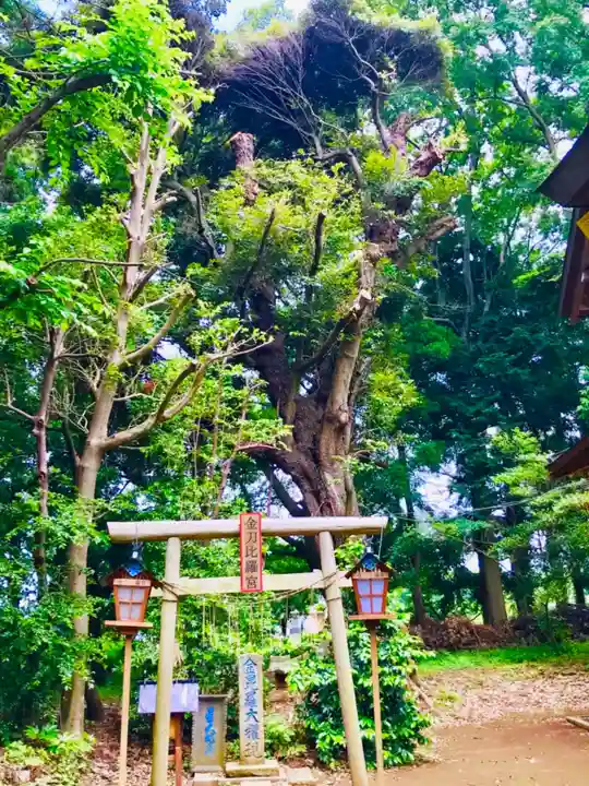 星宮神社の末社・摂社