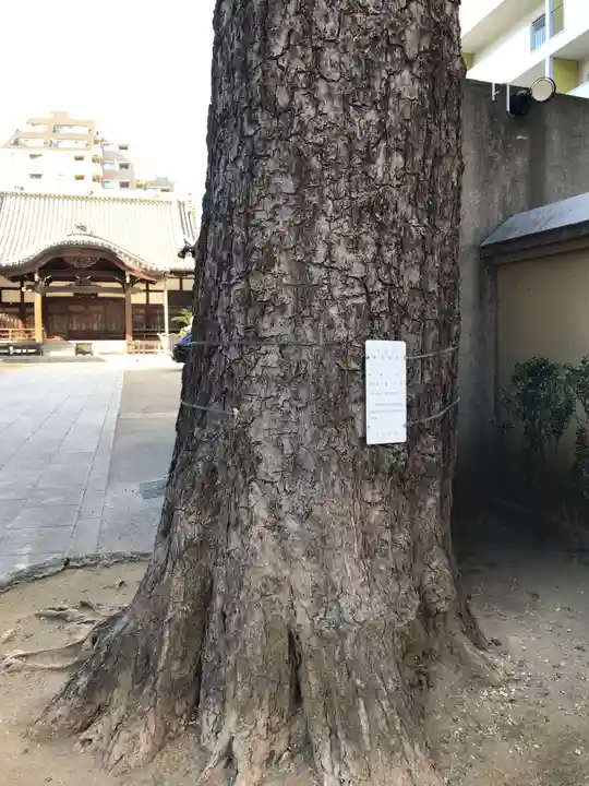 長泉寺(東京都)