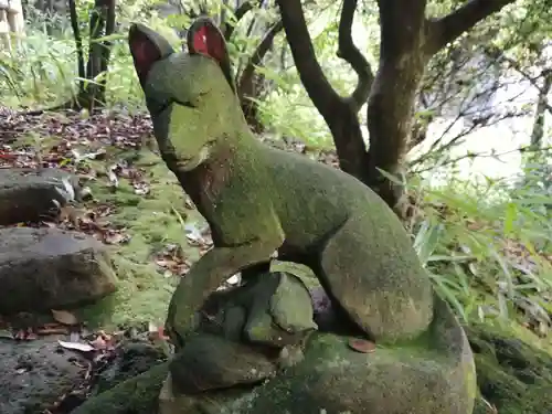 白金氷川神社の狛犬