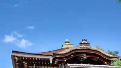 高台寺(高台寿聖禅寺・高臺寺)の本殿・本堂