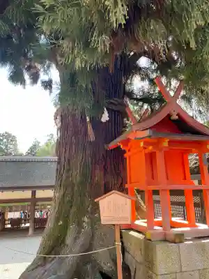 春日大社(奈良県)