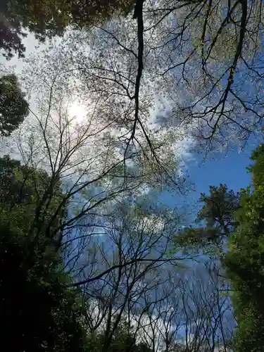 乃木神社の自然