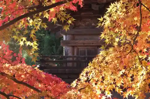 国宝 大法寺の自然