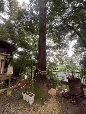 吉川八幡神社(大阪府)