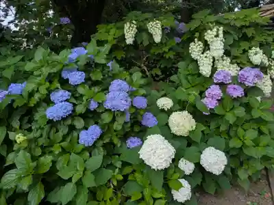 大宝八幡宮(茨城県)