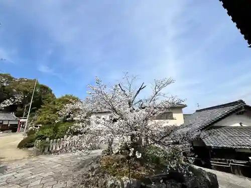 種河神社(大阪府)