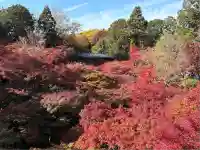 東福禅寺(東福寺)(京都府)