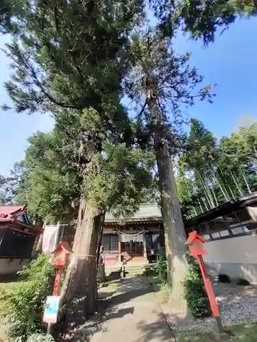 平出雷電神社(栃木県)