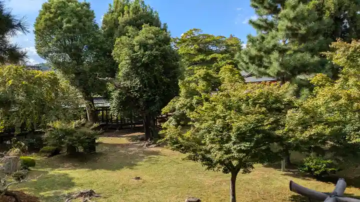 大覚寺(京都府)