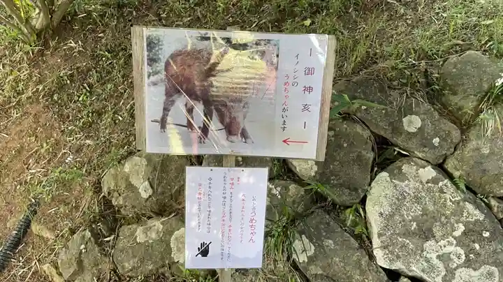 坪沼八幡神社(宮城県)