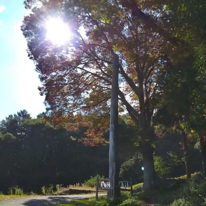 諏訪大社(長野県)