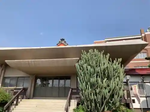 蓮光寺の本殿・本堂