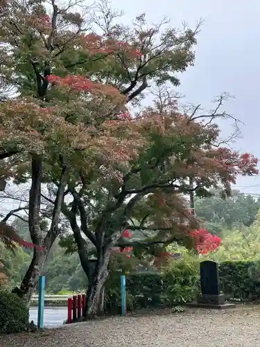 伊都許利神社(千葉県)