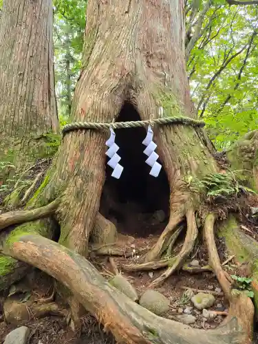 戸隠神社奥社(長野県)
