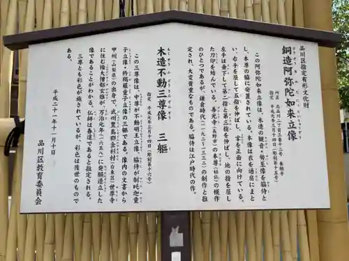 養願寺の歴史