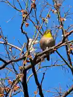 高円寺(東京都)