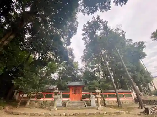 隨心院（随心院）(京都府)