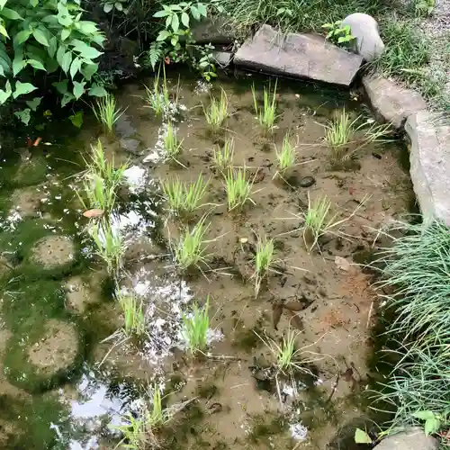 田無神社の庭園