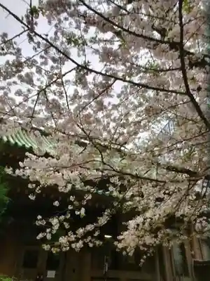 湯島聖堂(東京都)